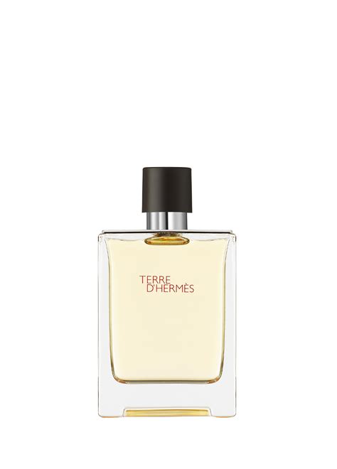 hermes terre 100ml tester ceneo|hermes for men.